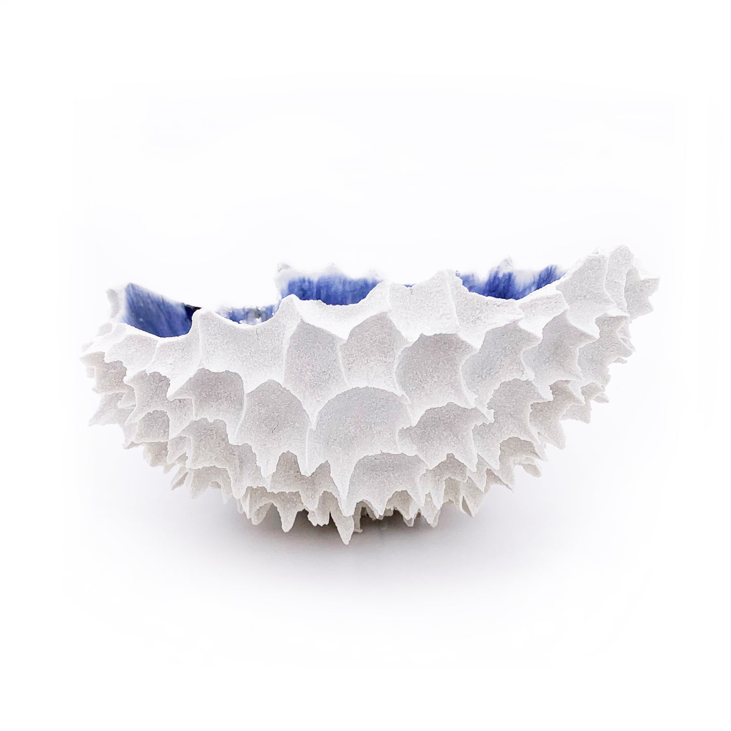1440 gr / Large / Mediterraneo