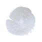 1808 GR / Large / Arctic