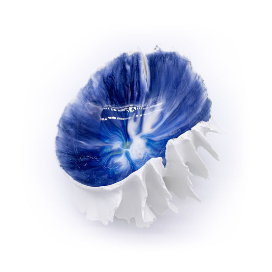 762 GR / Medium / Mediterraneo