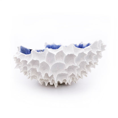 1440 gr / Large / Mediterraneo