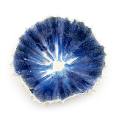 1440 gr / Large / Mediterraneo