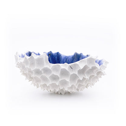 1440 gr / Large / Mediterraneo